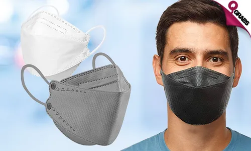 N95 Face Masks: Box of TEN!